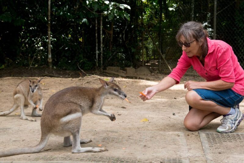 From Cairns: Daintree Rainforest & Cape Tribulation 4WD Tour - The Sum Up