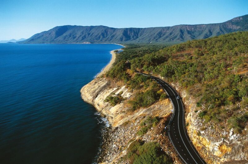 From Cairns: Daintree Wilderness & Cape Tribulation Bus Tour - A Deep Dive into the Daintree Wilderness & Cape Tribulation Tour