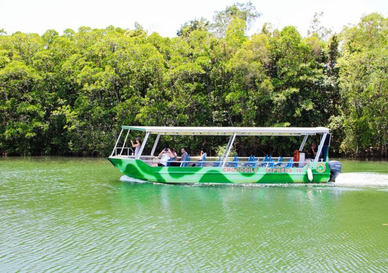 From Cairns: Daintree Wilderness & Cape Tribulation Bus Tour - Authentic Experiences and Authentic Guides