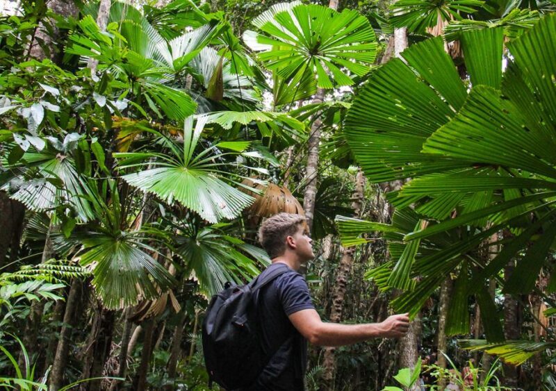 From Cairns: Daintree Wilderness & Cape Tribulation Bus Tour - FAQ
