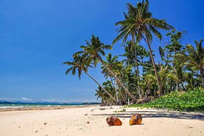 From Cairns: Dunk Island Day Tour - An In-Depth Look at the Dunk Island Day Tour