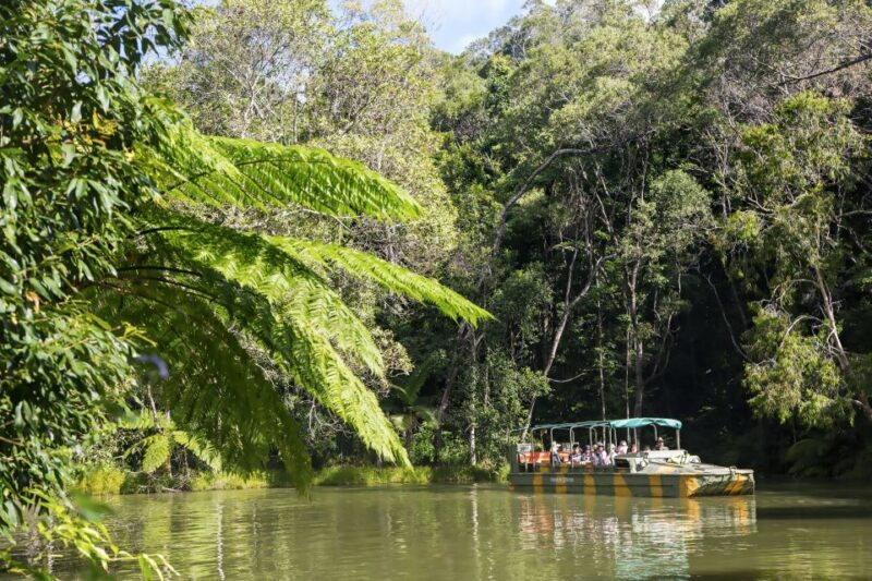 From Cairns: Full-Day Kuranda Army Duck Experience Tour - Who Should Consider This Tour?