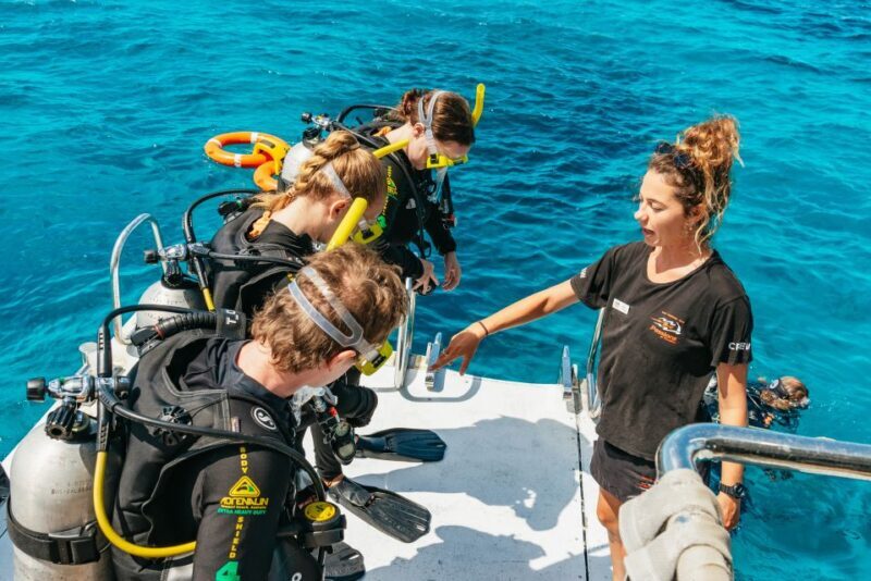 From Cairns: Great Barrier Reef Cruise by Premium Catamaran - Who Should Consider This Tour