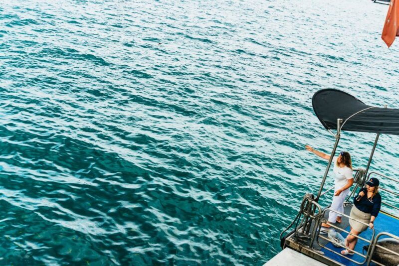 From Cairns: Green Island Full-Day Cruise - Considerations and Tips