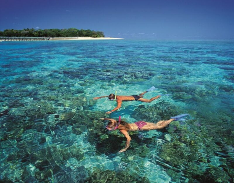 From Cairns: Green Island Half-Day Morning Cruise - The Experience in Detail