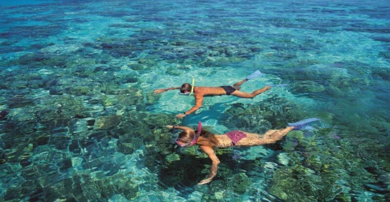 From Cairns: Green Island Half-Day Morning Cruise - Authentic Traveler Insights