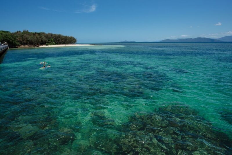 From Cairns: Half-Day Afternoon Cruise to Green Island - The Experience from the Guides