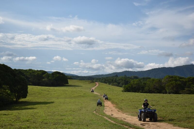 From Cairns: Kuranda Day Trip with Petting Zoo and Quad Ride - The Value of This Tour