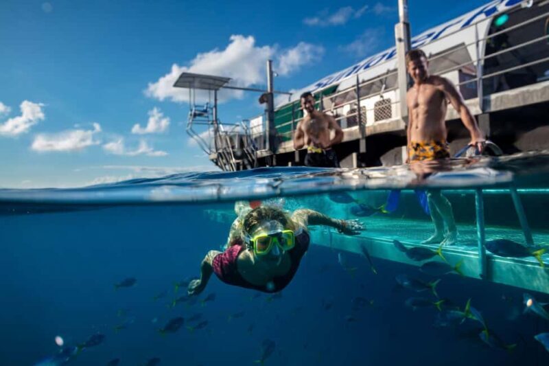 From Cairns: Moore Reef, Fitzroy Island Tour with Helicopter - Key Points