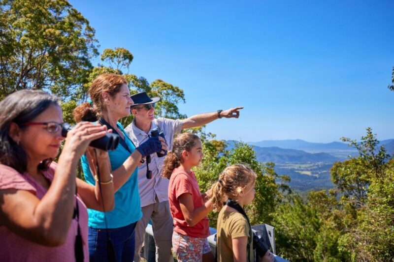 From Cairns: Rainforest & Nocturnal Wildlife Tour - From Cairns: Rainforest & Nocturnal Wildlife Tour