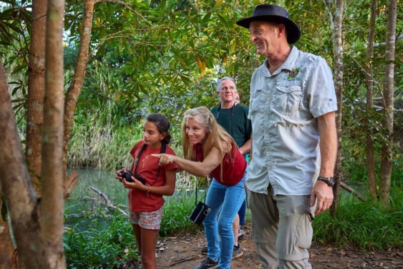 From Cairns: Rainforest & Nocturnal Wildlife Tour - An In-Depth Look at the Cairns Rainforest & Nocturnal Wildlife Tour