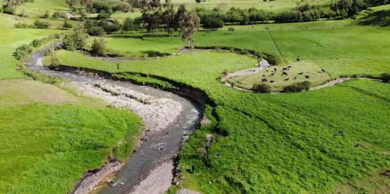From Cajamarca: Chicken Sanctuary - From Cajamarca: Chicken Sanctuary — An Authentic Day Trip into Nature and Culture