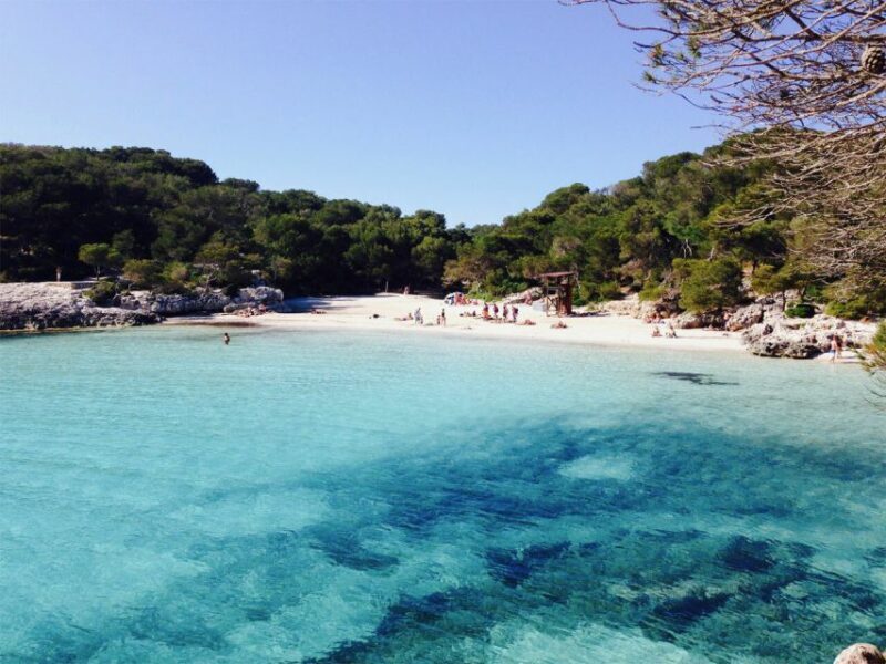 From Cala Galdana: 2-Hour Glass-Bottom Boat Trip - Authentic Traveler Experiences