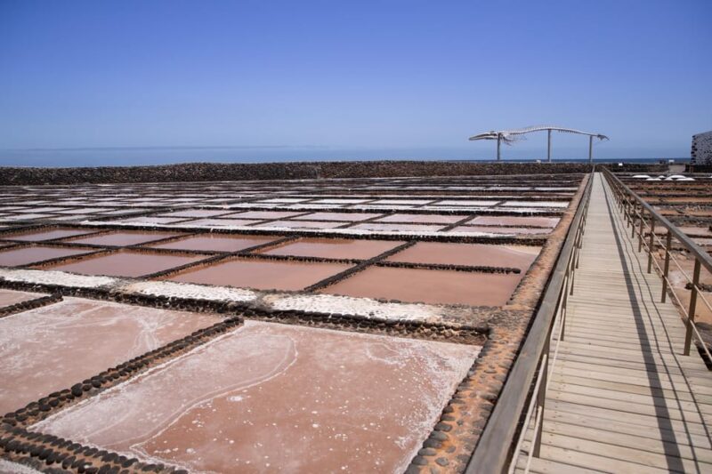 From Caleta de Fuste: Explore Rural Fuerteventura Tour - Who Should Consider This Tour?