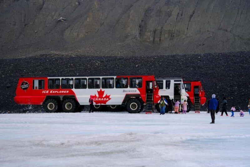 From Calgary/Banff/Canmore: Rockies Day Trip with Icefield - Key Points