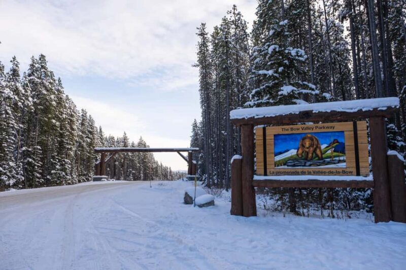 From Calgary/Banff/Canmore: Rockies Day Trip with Icefield - The Full Experience: What to Expect on the Rockies Day Trip