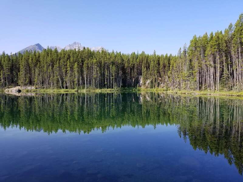 From Calgary/Banff: Columbia Icefield Glacier Full-Day Trip - Final Thoughts: Is This Tour Right for You?