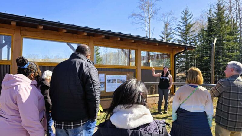 From Calgary to Banff: Day Trip with Wolfdog Sanctuary Visit - Analyzing Value and Experience