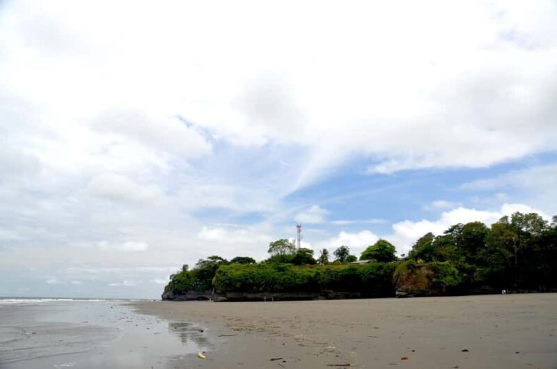 From Cali: Whale Watching Day Trip in Buenaventura - Key Points