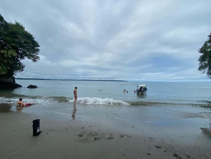 From Cali: Whale Watching Day Trip in Buenaventura - The Experience in Detail