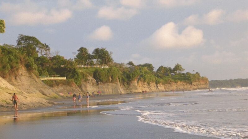 From Cali: Whale Watching Day Trip in Buenaventura - Final Thoughts