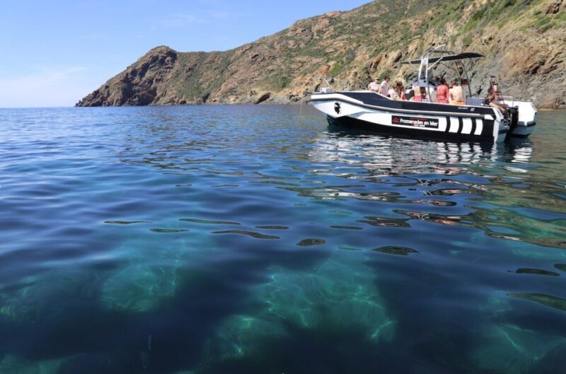 From Calvi: 2-Hour Sunset Cruise to Revellata Peninsula - From Calvi: 2-Hour Sunset Cruise to Revellata Peninsula