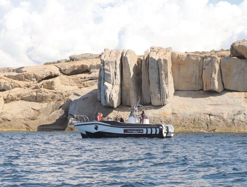 From Calvi: 2-Hour Sunset Cruise to Revellata Peninsula - The Value of This Experience