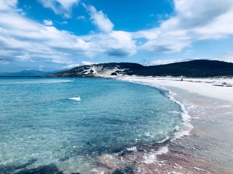 From Calvi: 4x4 Day Tour Mountain & Agriates' Saleccia Beach - From Calvi: 4x4 Day Tour Mountain & Agriates Saleccia Beach