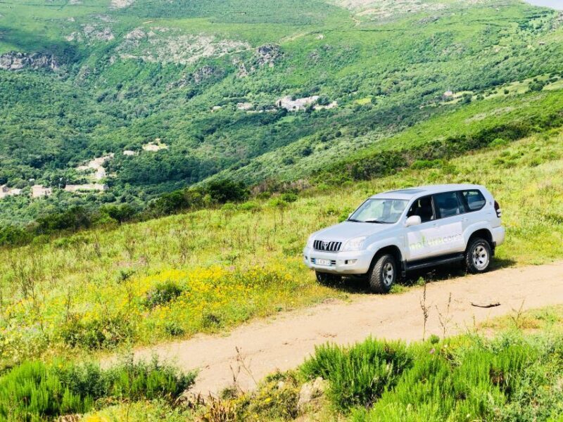 From Calvi: 4x4 Day Tour Mountain & Agriates' Saleccia Beach - Key Points