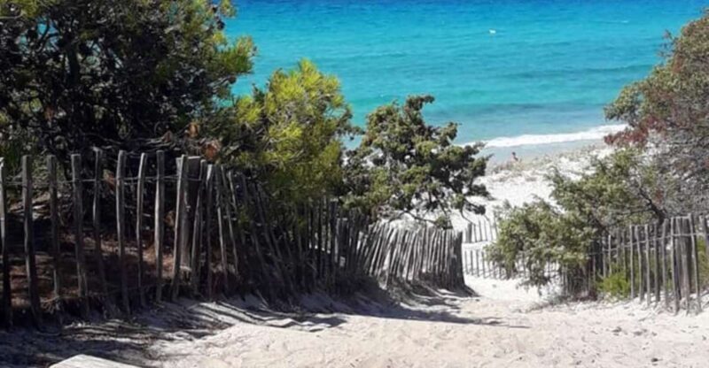 From Calvi: 4x4 Day Tour Mountain & Agriates' Saleccia Beach - Authentic Experience with Genuine Feedback