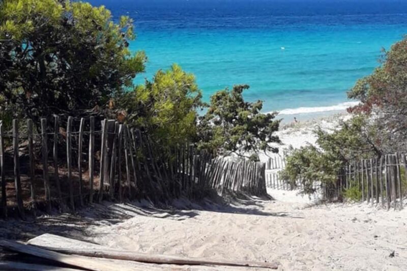 From Calvi: 4x4 Day Tour Mountain & Agriates' Saleccia Beach - Who Should Book This Tour?
