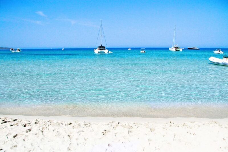 From Calvi: Agriate Guided Jeep Tour to Lotu and Saleccia - Key Points