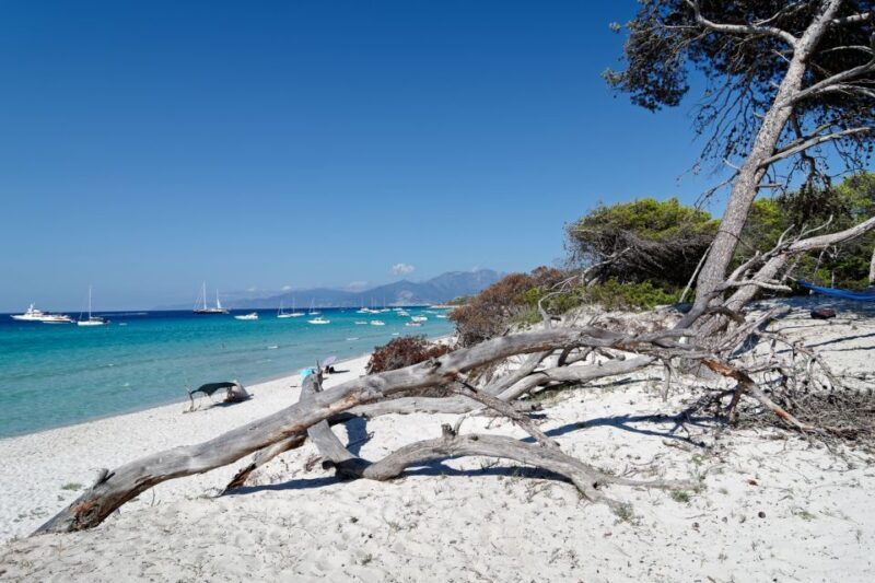 From Calvi: Agriate Guided Jeep Tour to Lotu and Saleccia - The Scenic Drive Through the Agriate Desert