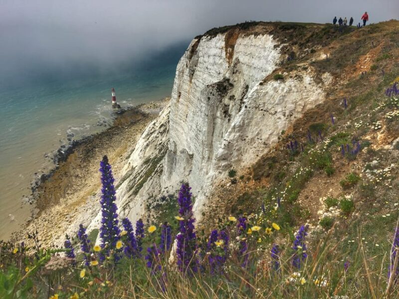 From Cambridge: Guided day trip to Brighton & Beachy Head - Exploring Brighton: The Fashionable Seaside Resort
