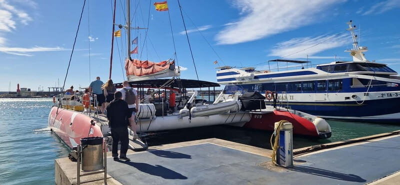 From Cambrils: catamaran 2h with drinks/bed balinese, swim. - Detailed Breakdown of the Experience