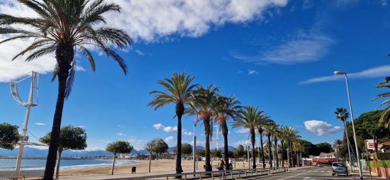 From Cambrils: catamaran 2h with drinks/bed balinese, swim. - Final Thoughts