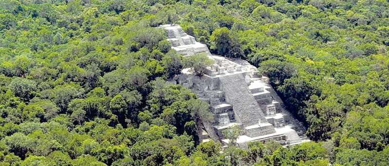 From Campeche: Calakmul Guided Nature and History Day Trip - An In-Depth Look at the Tour Experience