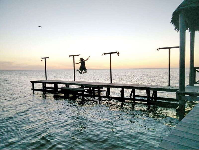 From Campeche: Flamingo Private Tour - From Campeche: Flamingo Private Tour — A Close-Up with Nature’s Pink Wonders