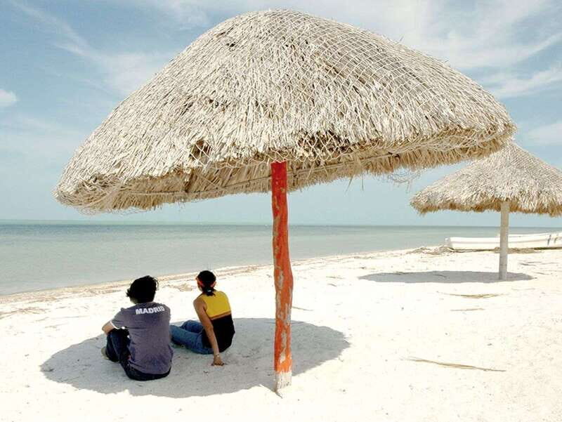 From Campeche: Flamingo Private Tour - Final Thoughts: Is It Worth It?