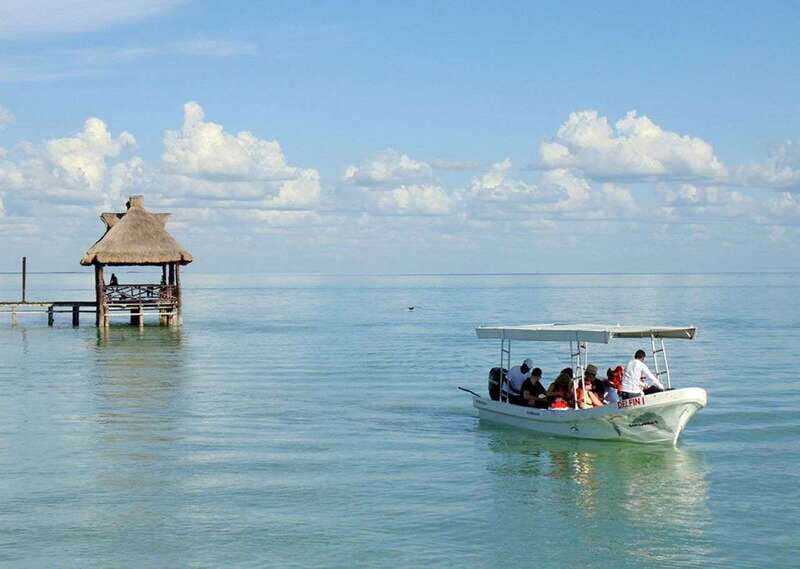 From Campeche: Isla Aguada Dolphin Encounter Tour - The Sum Up