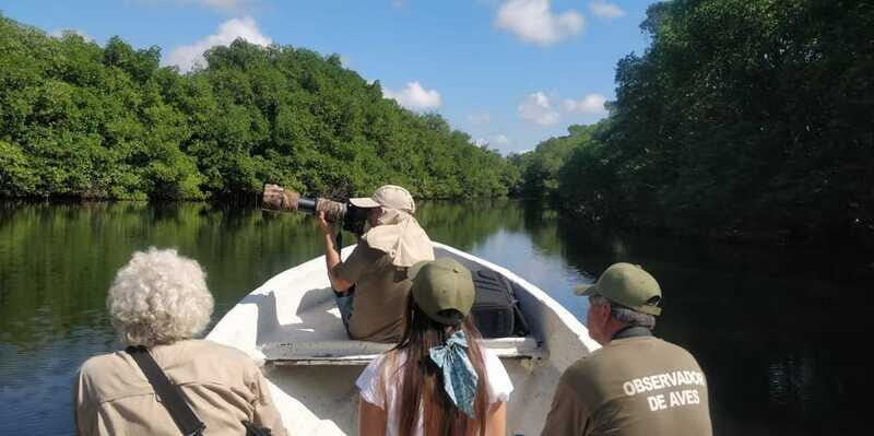 From Campeche: Mamantel River Tour - The Value Proposition