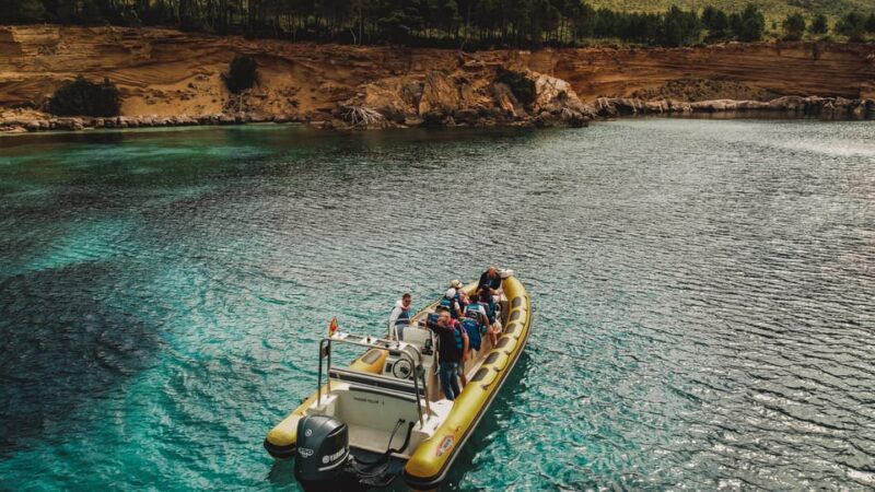 From Can Picafort: Dolphin Watching and Cave Boat Trip - Why Choose This Tour?