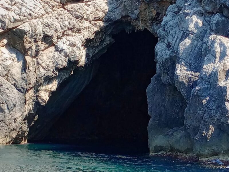 From Can Picafort: Dolphin Watching and Cave Boat Trip - Final Thoughts