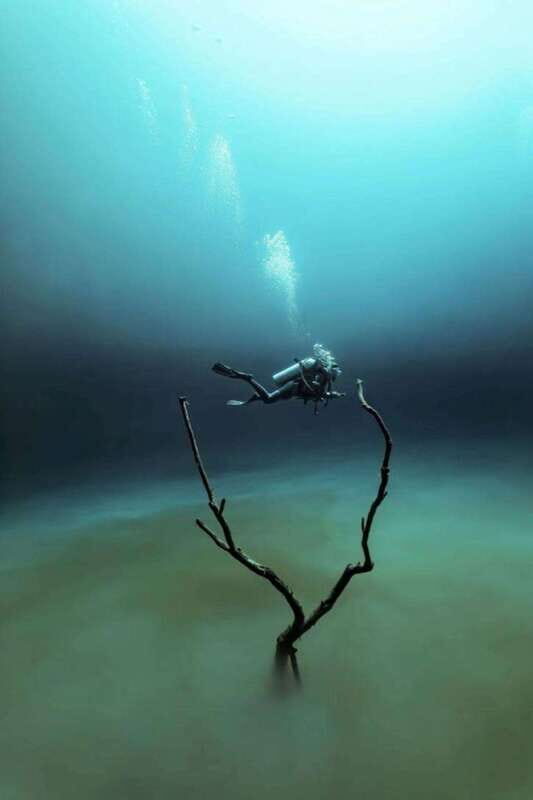 From Cancun: Angelita and Taj Ma Ha Cenote Diving Experience - In-Depth Review