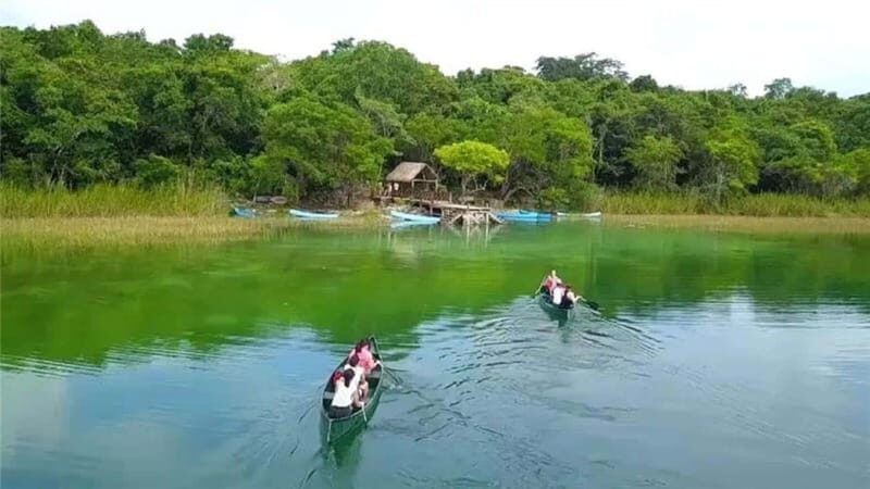 From Cancun: Coba Ruins and Punta Laguna Day Trip - Indulging in Regional Flavors