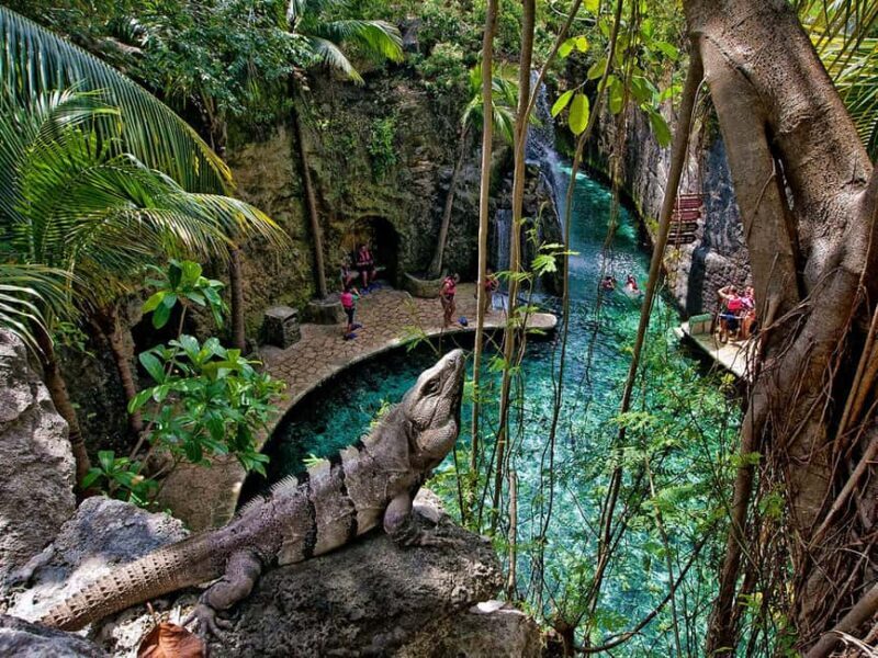 From Cancun: Complete Combo to Xcaret Park! - An In-Depth Look at the Xcaret Experience