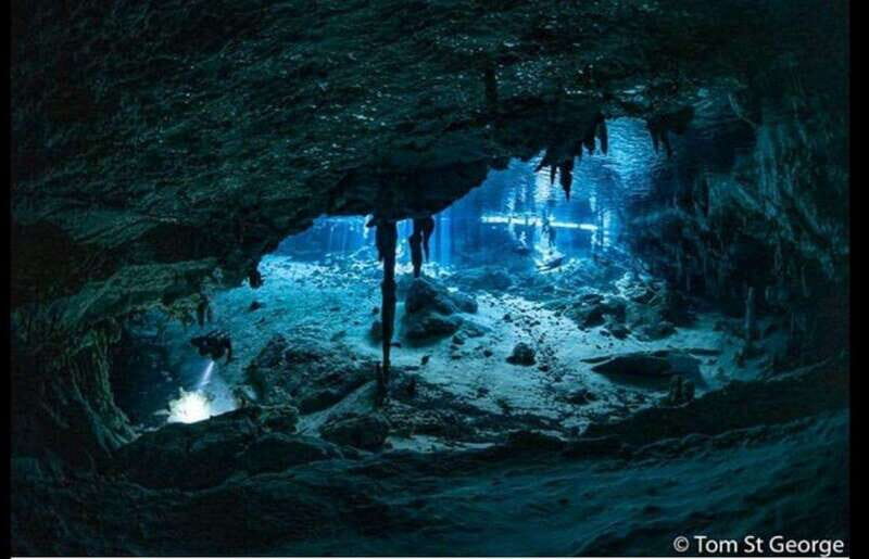From Cancun: Dos Ojos Cenote Diving Experience - Introduction: What You Can Expect from the Dos Ojos Cenote Diving Experience