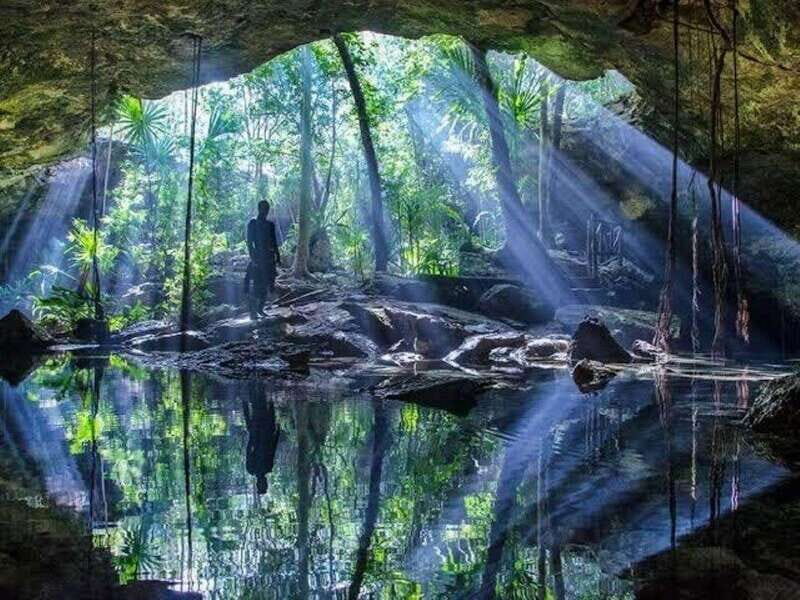 From Cancun: Dos Ojos Cenote Diving Experience - Who Would Love This Experience?