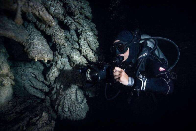 From Cancun: Fast Boat Cozumel Diving Experience - Exploring the Details of the Cozumel Diving Adventure