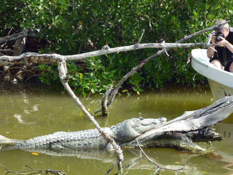 From Cancun: Kantemó Snake Cavern Adventure - Frequently Asked Questions